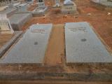 image of grave number 558300